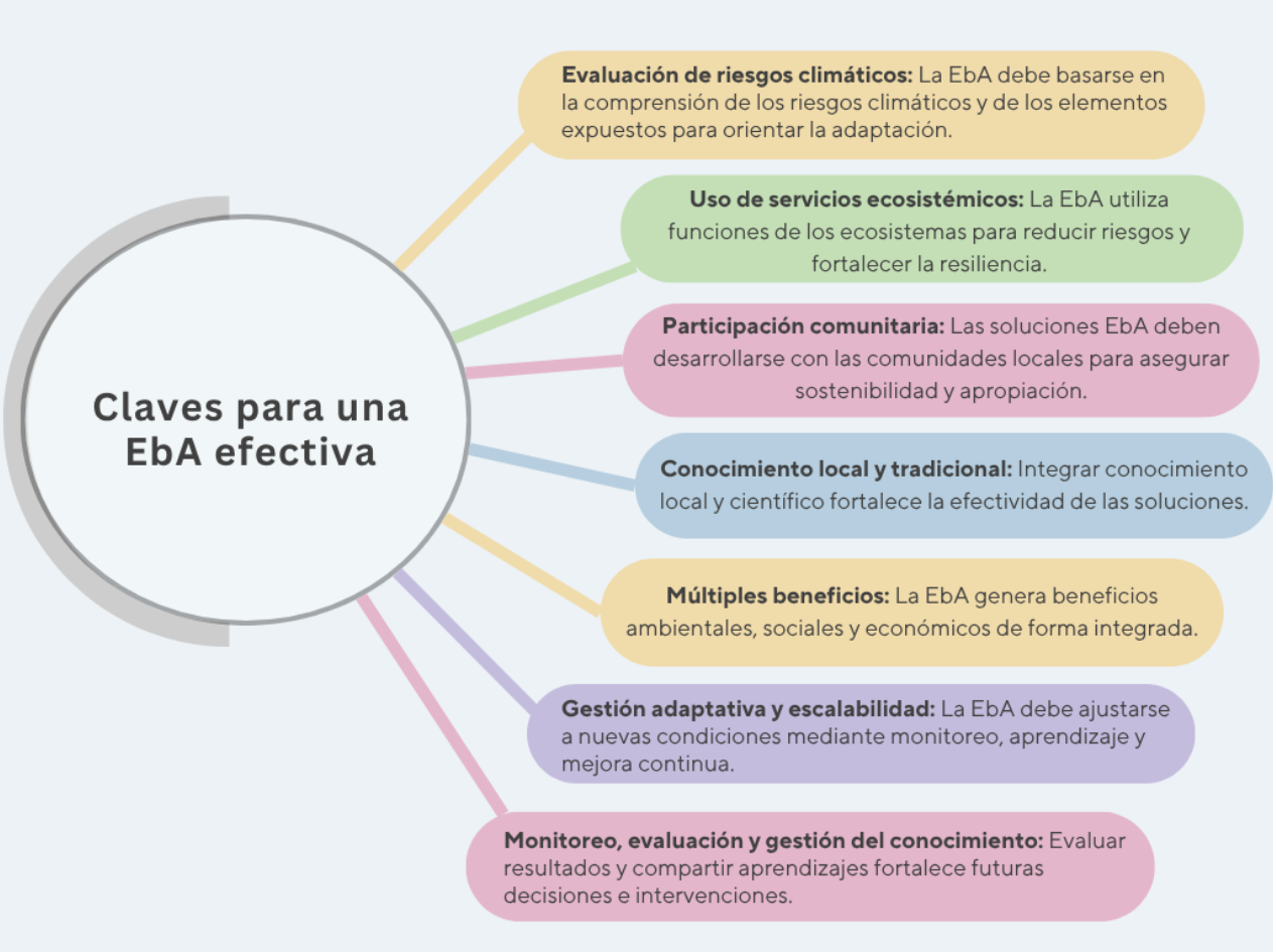 Imagen en Español