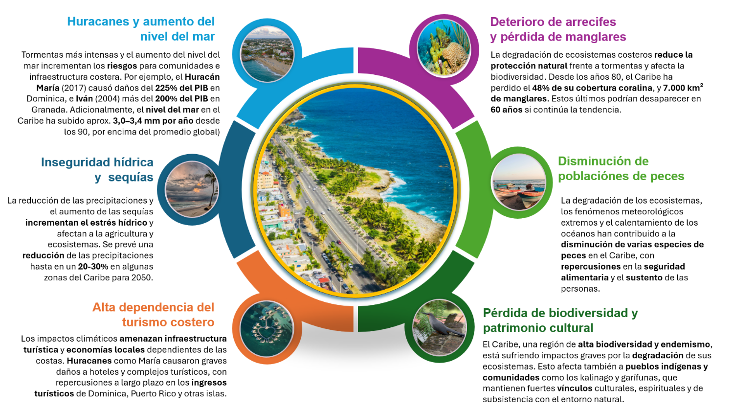 Imagen en Español